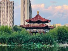 -青城公园