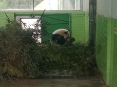 -石家庄市动物园