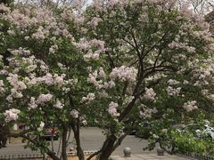 -山东师范大学(千佛山校区)