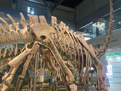 -自贡恐龙博物馆
