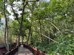 -青岛崂山太清宫