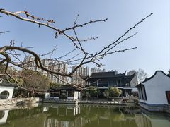 -红梅公园
