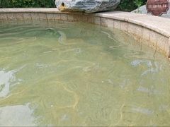 -思念果岭悦温泉