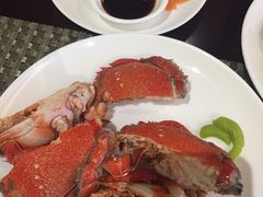 -339旋转餐厅(天府熊猫塔店)