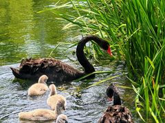 -北坞公园