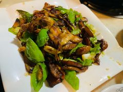 -蘑统田下·野生菌火锅