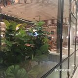 菜品有火锅和炒菜一类的