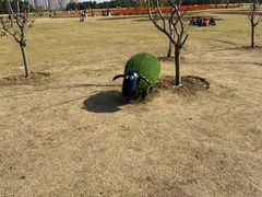 -映月湖中央公园