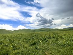 -新疆那拉提国家旅游度假区