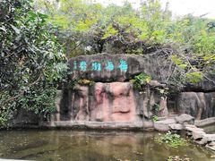 -深圳国际园林花卉博览园