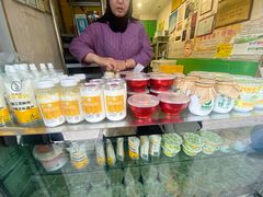 -德禄酸奶(莫家街店)