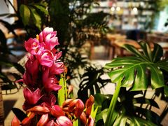 -谷咖啡·鲜花绿植花园餐厅
