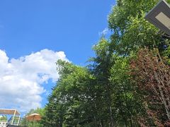 -汤旺河林海奇石景区