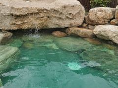 -太阳岛度假酒店