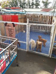 -萌宠亲子动物乐园(槐房万达店)