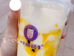 -一只酸奶牛(八一路店)