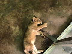 -西安秦岭野生动物园