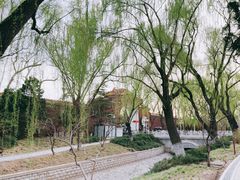 -菖蒲河公园