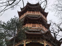 -塔云山
