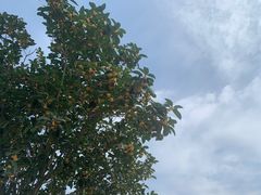 -南京金牛湖风景区