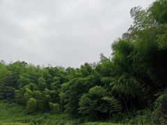 -南山风景名胜区