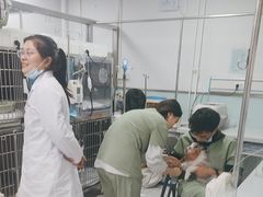 -达爱动物医院·犬猫分区·CT·复杂眼科(远洋山水分院)