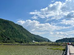 -腾冲北海湿地