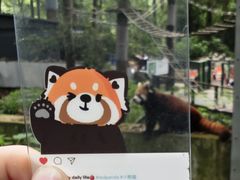 -荆州中山公园动物园