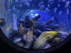 -成都浩海立方海洋公园