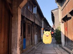 -乌镇东栅景区