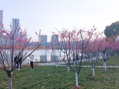 -天鹅湖体育公园