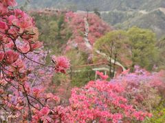-岳西天峡风景区