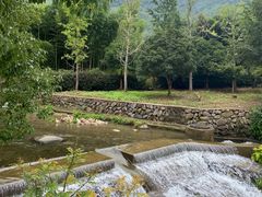 -东天目山风景区