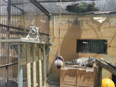-青藏高原野生动物园