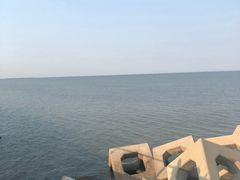 -东疆建设开发纪念公园