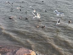 -深圳湾公园(南山区)