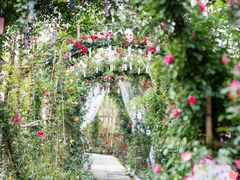 -三圣花乡旅游区