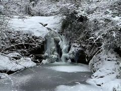 -龙苍沟森林公园