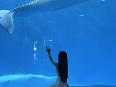 -海合安成都极地海洋公园