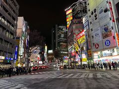 -涩谷全向十字路口