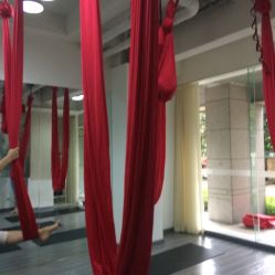 -榕树上·瑜伽普拉提