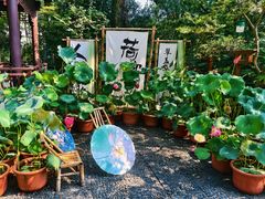 -上海醉白池公园
