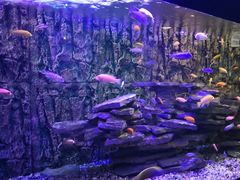 -石林冰雪海洋世界