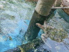 -广州海洋馆