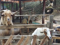 -北京鹿世界主题园