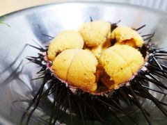 -南山酒肆(南山董事绘店)