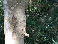 -龙坑生态保护区