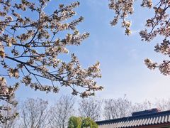 -咸阳湖景区
