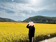 -南泥湾风景区