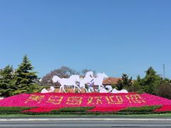 -小红鲸·海鲜餐厅(轸大路店)